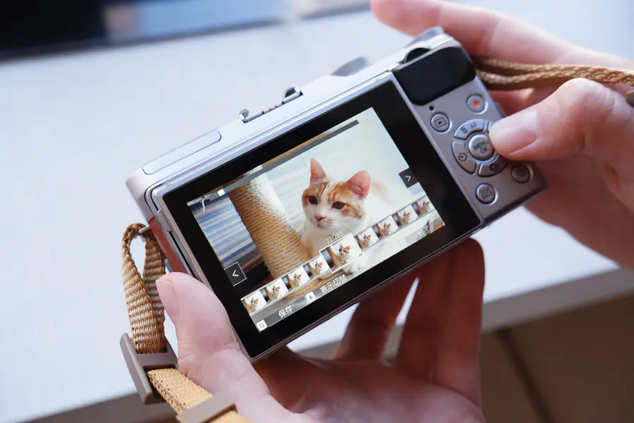 Fujifilm X-A5 Review: Value-Packed Mirrorless Camera_01