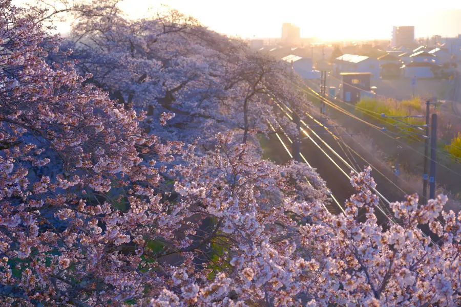 Fujinon XF 16-55mm F2.8 LM WR: 最高のAPS-Cズームレンズ_01